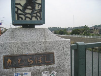 上村橋から引地川の左側を歩く。